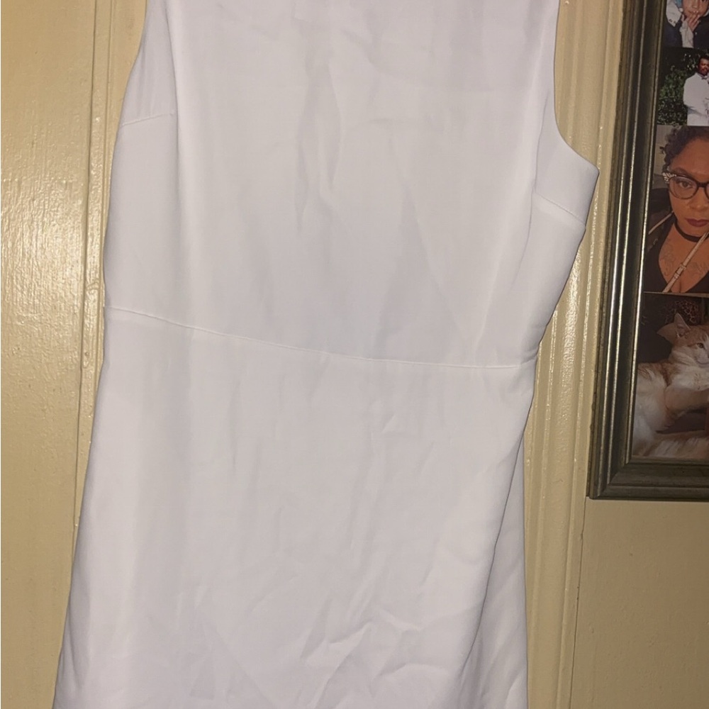 Aritzia Babaton sleeve white dress
